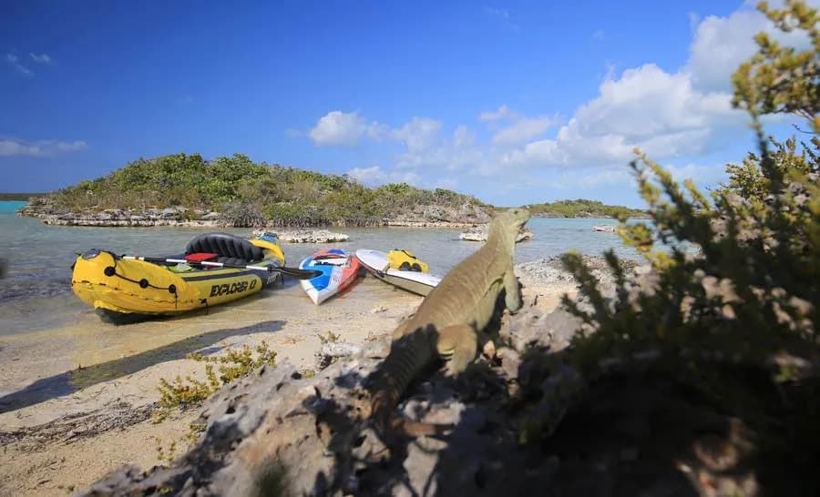 Waterplay TCI Provo Paddle Boarding Kayak Kitesurf Boat Rental