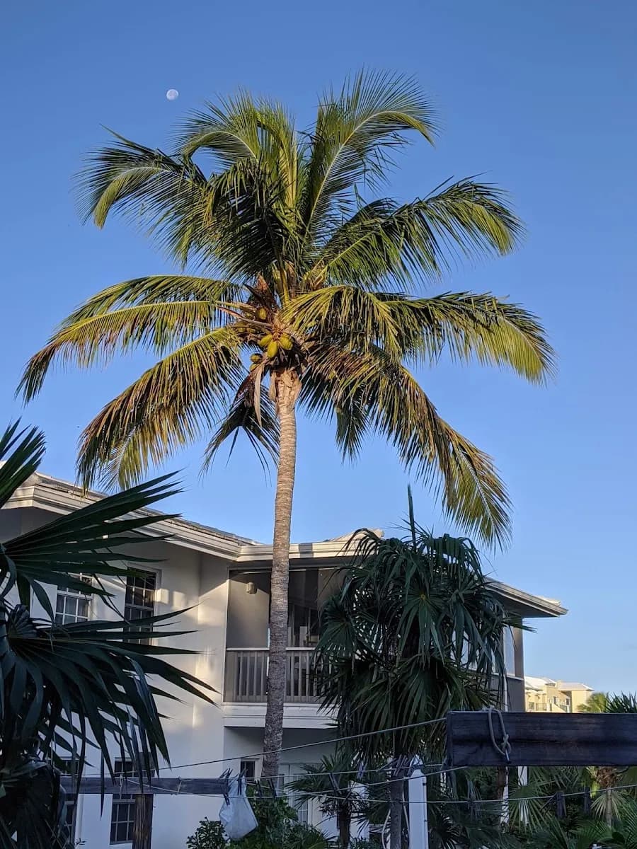 Atlantic Ocean Beach Villas